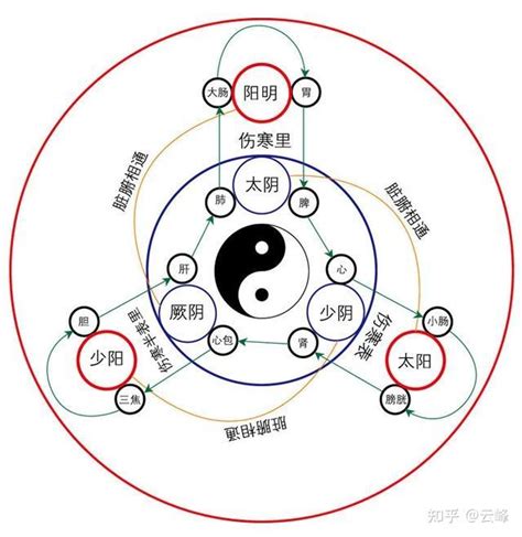 少陰意思|太阳，太阴，以及少阳，少阴都是表示什么？